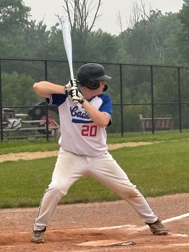 A young baseball player stands at home plate in a batting stance, holding a bat. He is wearing a blue and white jersey with the number 20 and is on a grassy baseball field. In the background, there are trees and a fence.