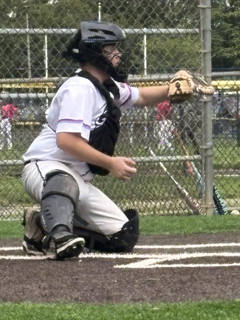A catcher in baseball gear squatting on the field, preparing to catch a pitch, with a chain-link fence and players in the background.