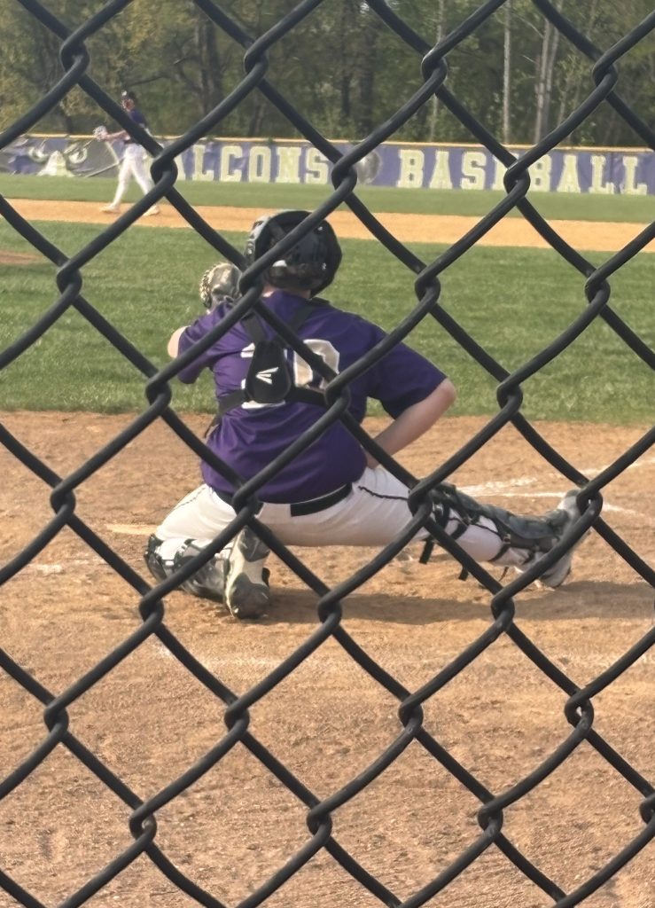 A young baseball catcher in a purple jersey squats behind home plate, looking towards the pitcher on the mound, with a baseball diamond and fence visible in the background.
